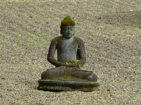 BuddhaAug2011